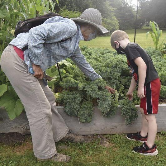 School garden's roots extend into Hancock life